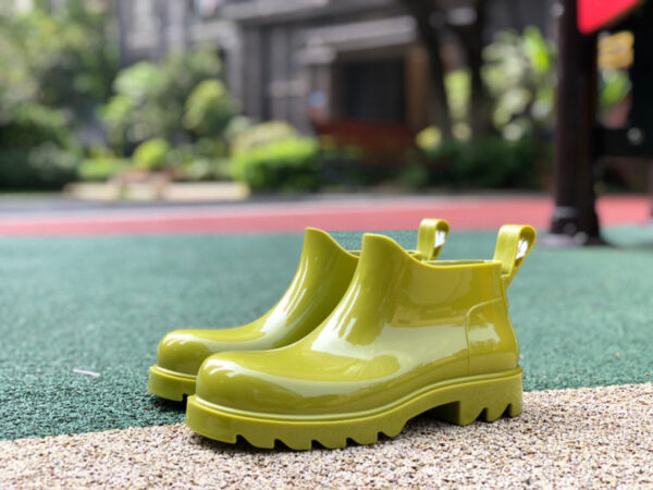 Bottega Veneta Green