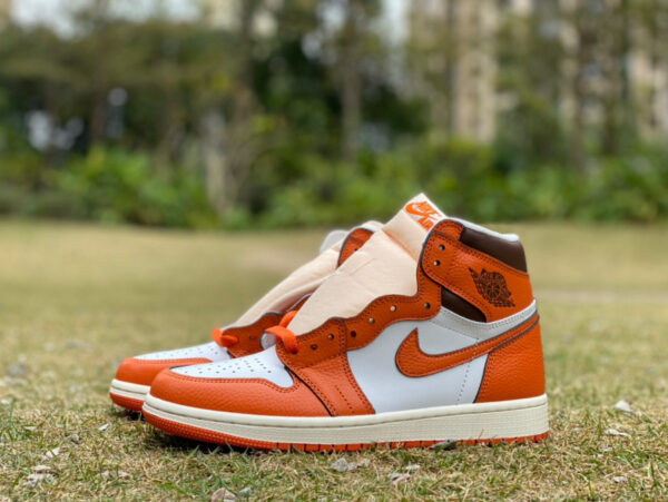 Small Buckle Hermès Orange Air Jordan