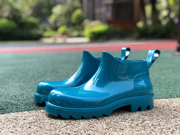 Bottega Veneta Blue Stride