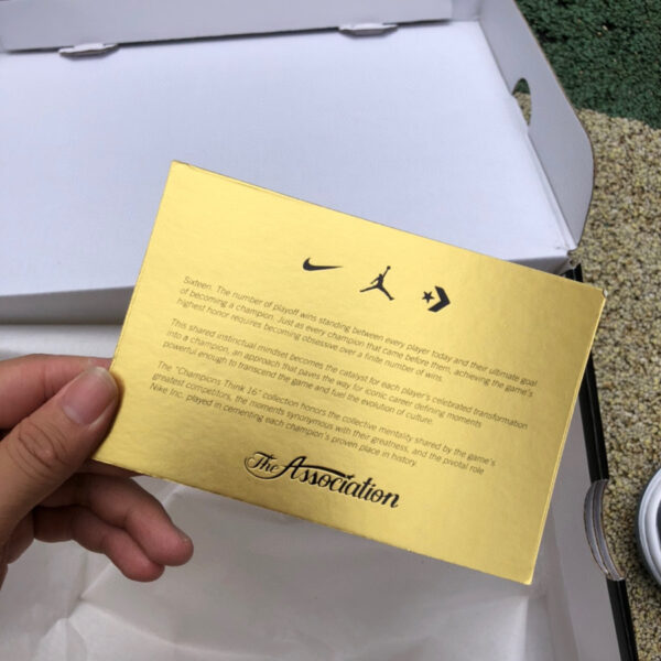 Leonard Silver Air Jordan - Image 10