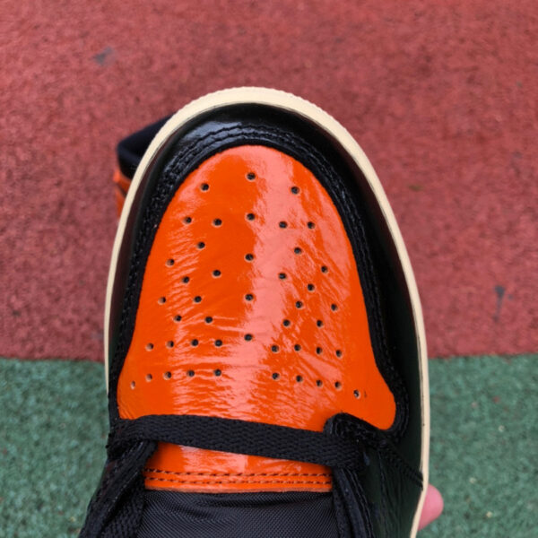 Lard Smashed Air Jordan - Image 5