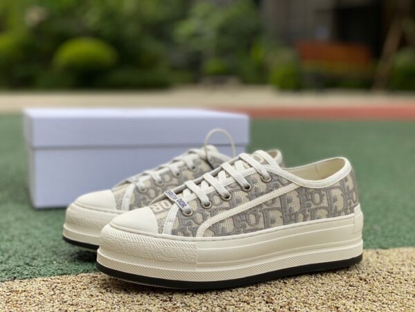 Dior White Gray  Dior Walkn