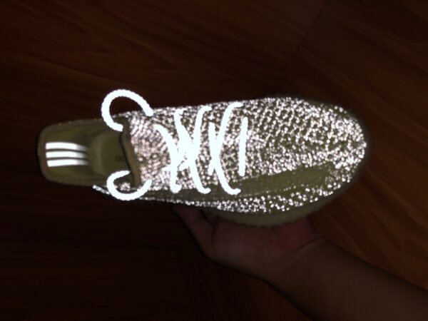 Yeezy Boost Antlia Reflective - Image 20