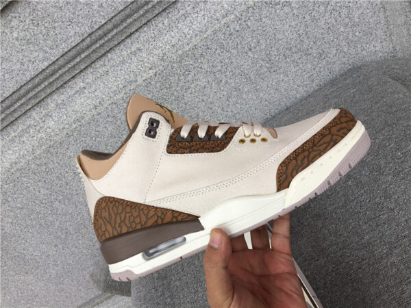 Air Jordan 'Palomino'