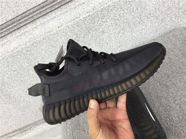 Yeezy Boost Mono Cinder'