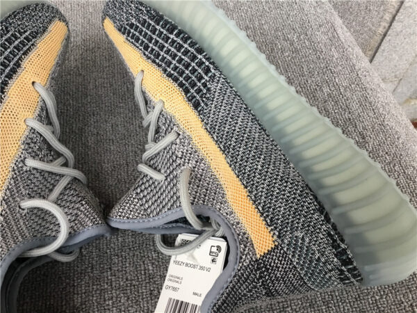Yeezy Coconut Ash Blue - Image 5