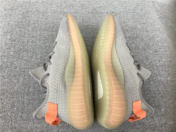 Yeezy Boost 'True Form' - Image 8