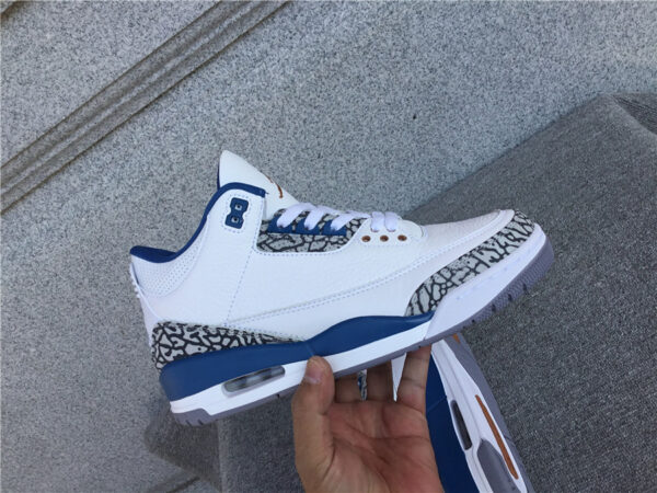 Air Jordan  White and Blue Wizards