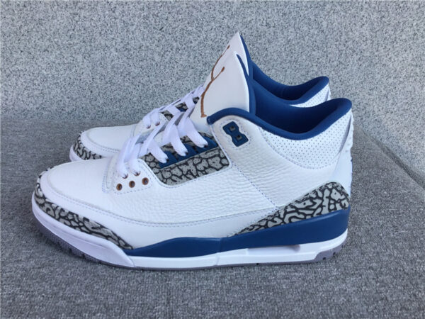 Air Jordan  White and Blue Wizards - Image 22