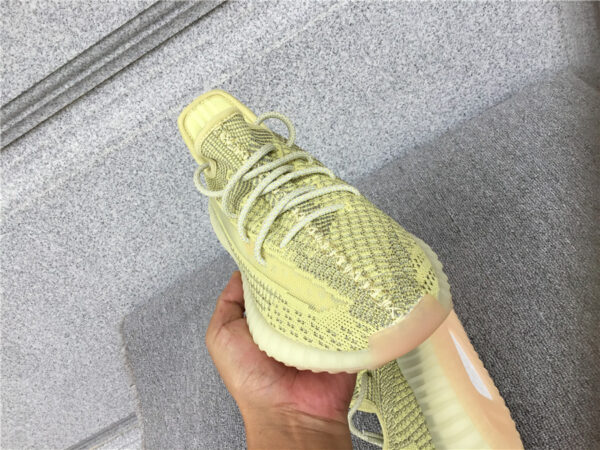 Yeezy Boost Antlia Reflective - Image 5